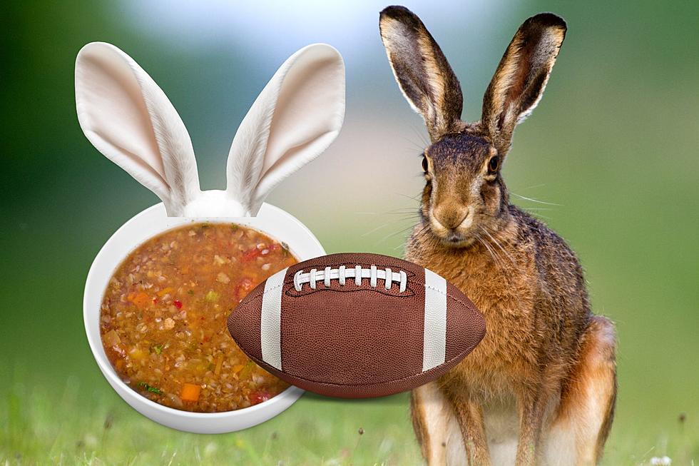 Missoula Bar to Feature Rabbit on Menu for Championship Game
