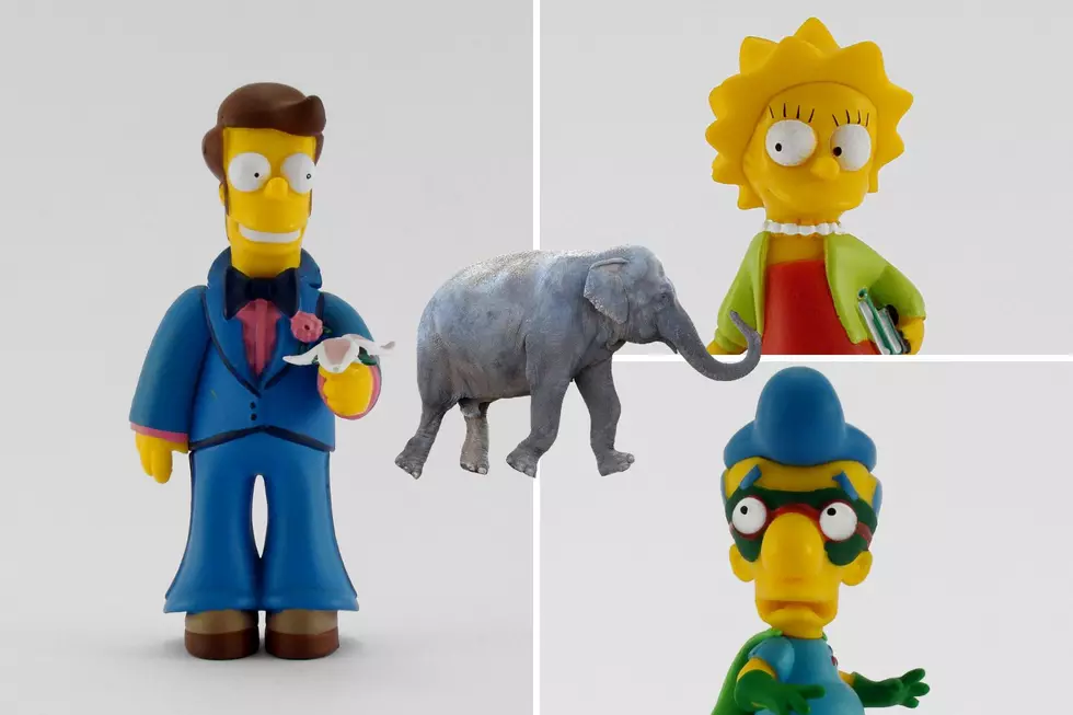 Did The Simpsons Predict the Elephant Escape in Butte Montana?