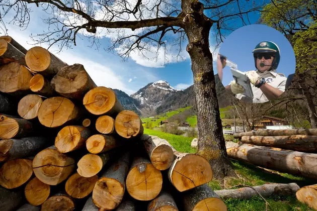 Will Montana Consider Firewood Fines Similar to California?