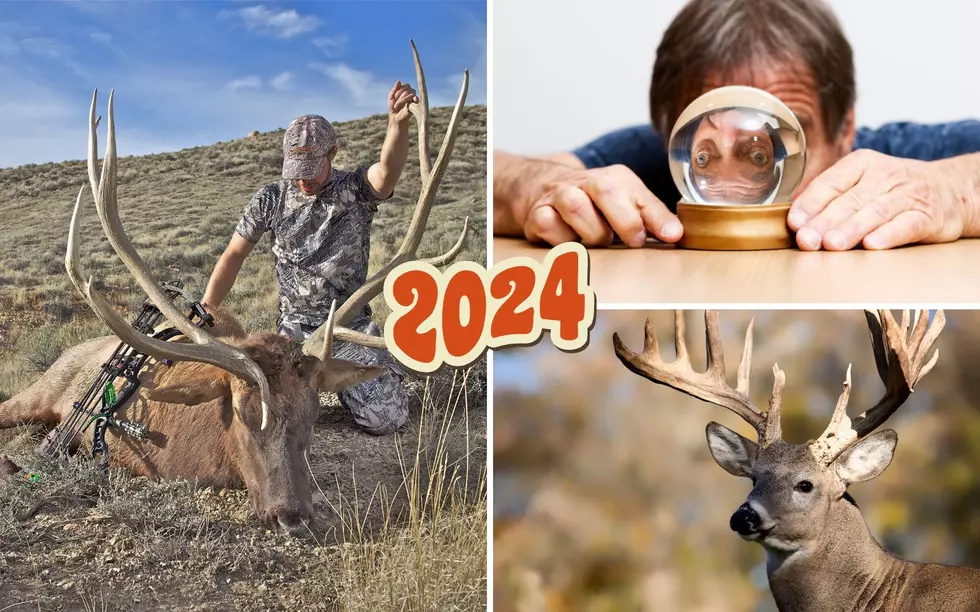 FWP Sees Record Year for Big Game: 2024 Montana Hunting Outlook
