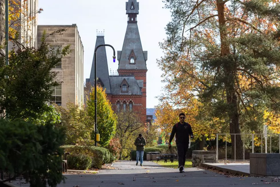 Two College Kids Skinned a Black Bear in Their Dorm