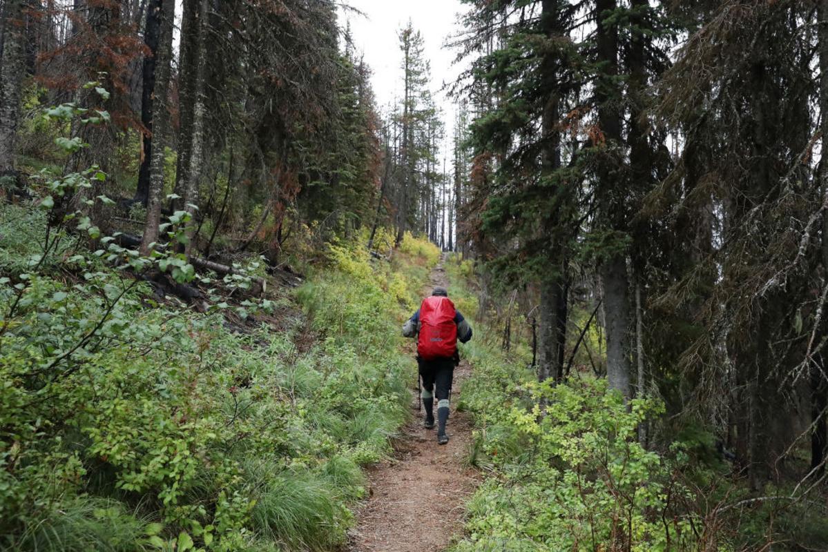 Montana Camping Trip Interrupted by Nobel Prize Call