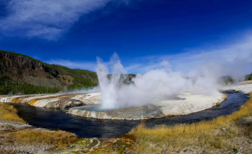 Yellowstone National Park Announces Free Admission Day