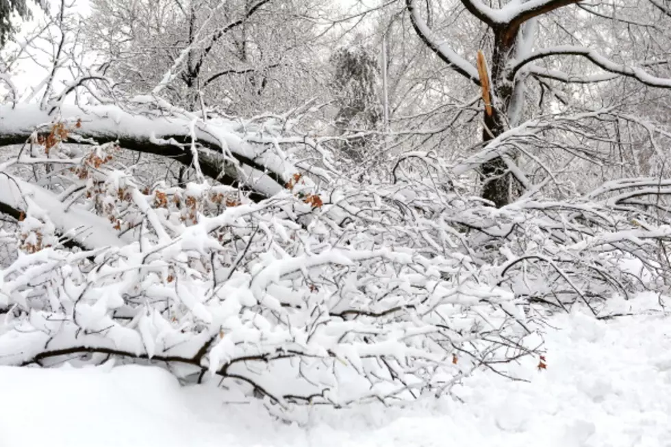 Winter Storm Watch in Effect – Already?!