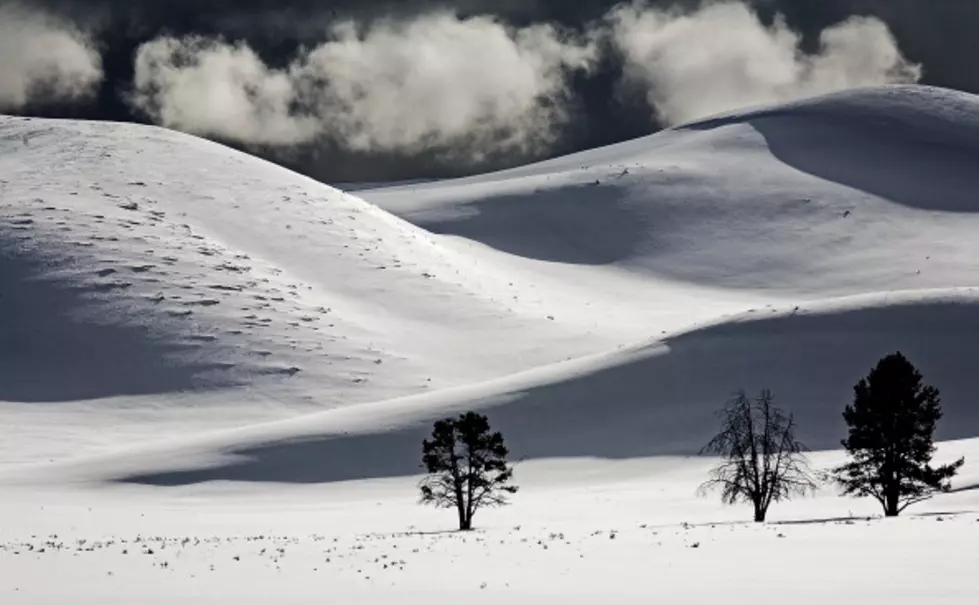 Snow Arrives Early This Year In Yellowstone!