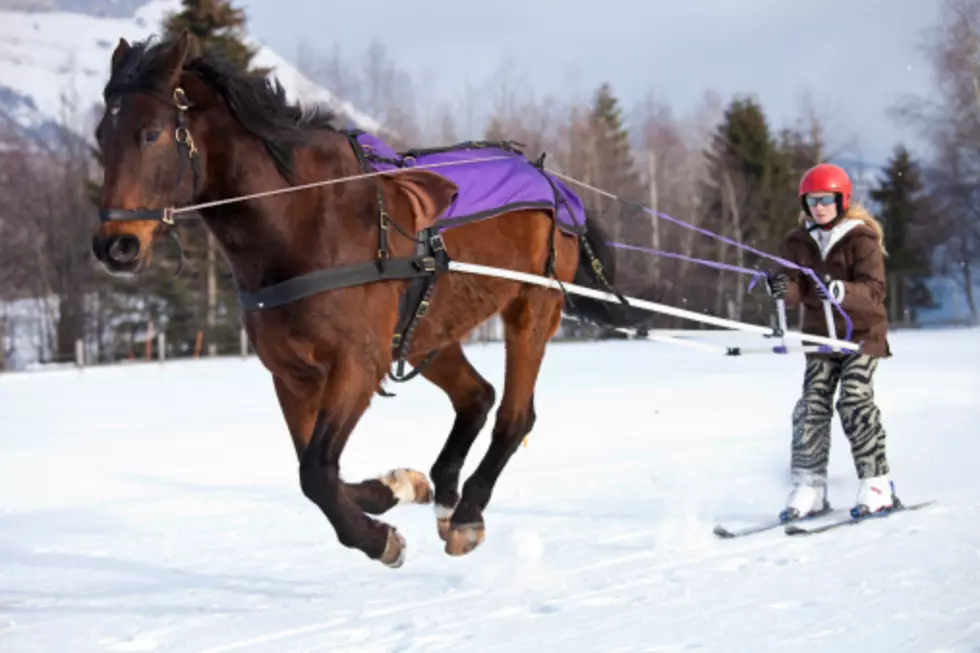 Skijoring (Being Towed By A Horse While Wearing Skis) National Finals Held This Weekend In Red Lodge