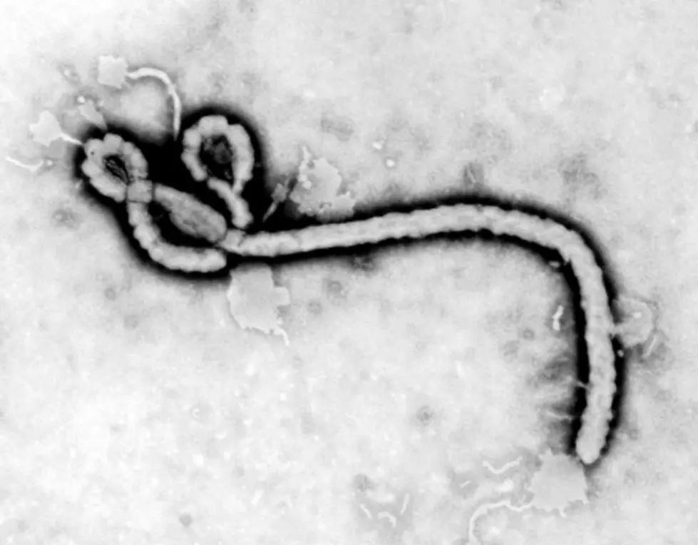 Is Ebola Panic Justified?