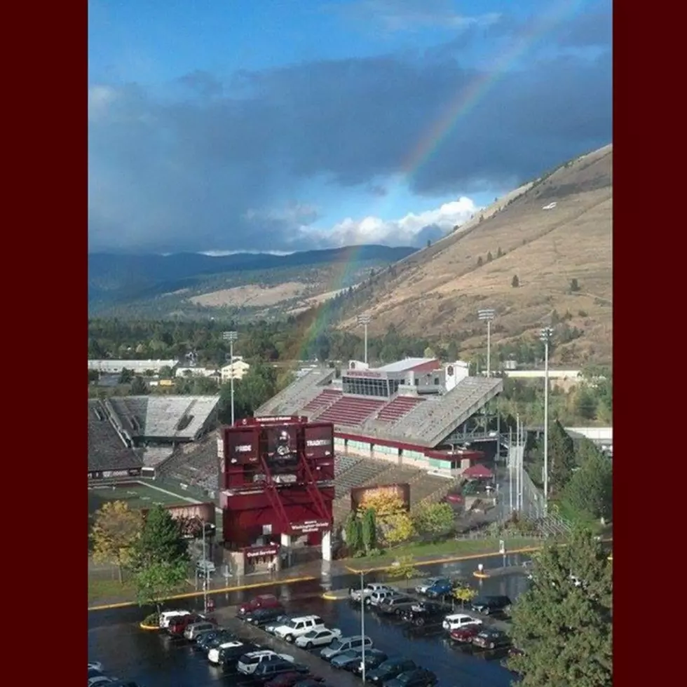 Cat-Griz Game Viewing Parties Will Be Held All Over the World