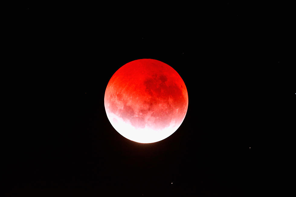 Did You Miss the Blood Moon, Too?