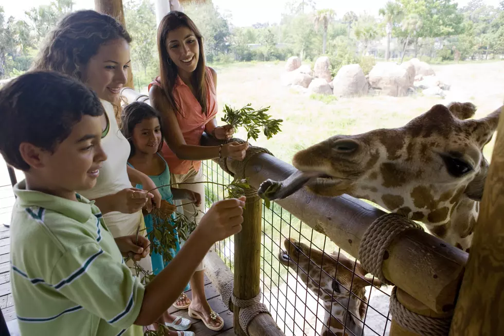 Zoo Montana Headlines Parent & Family Day