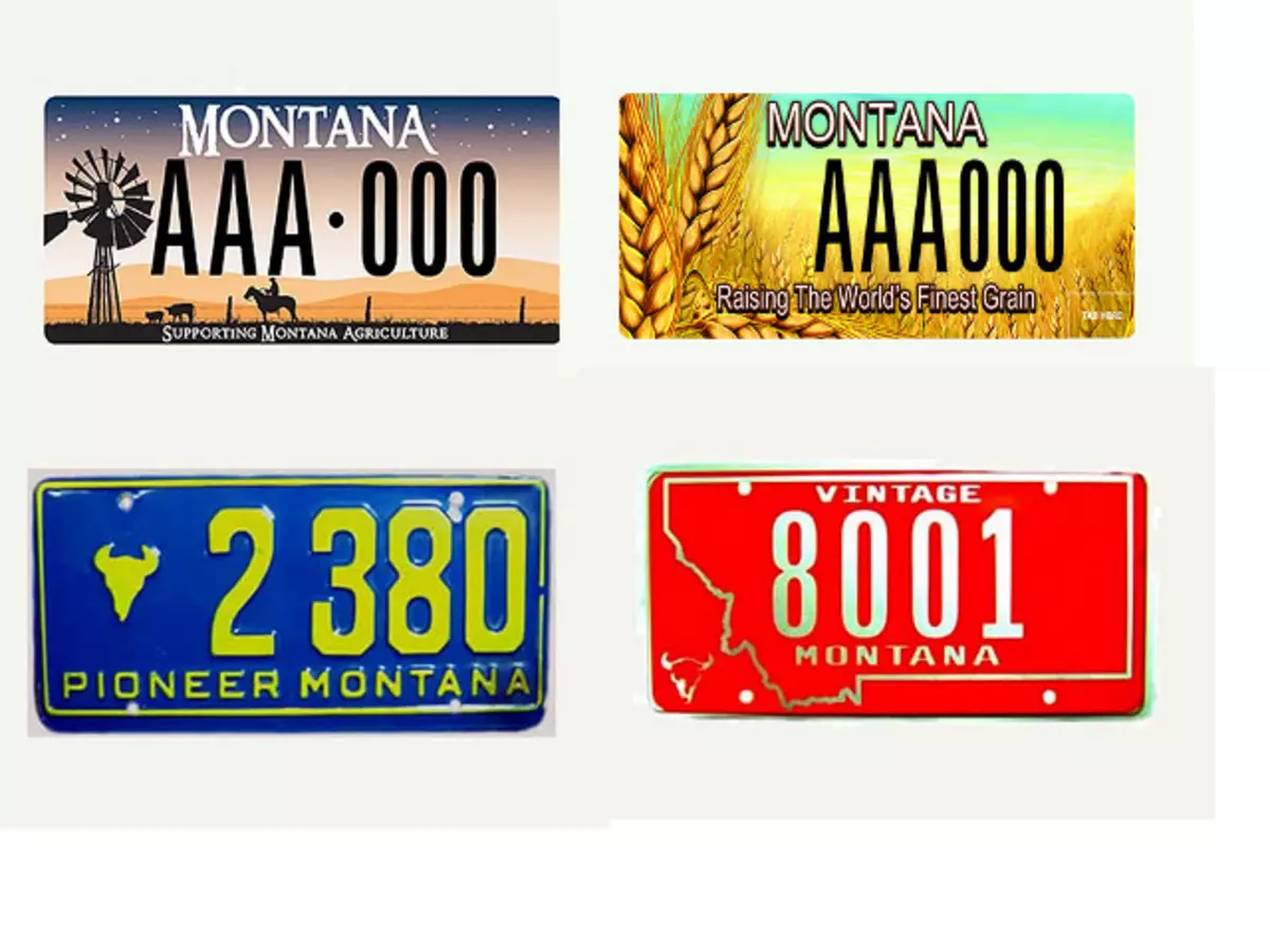 Your Vehicle Better Have Montana Plates