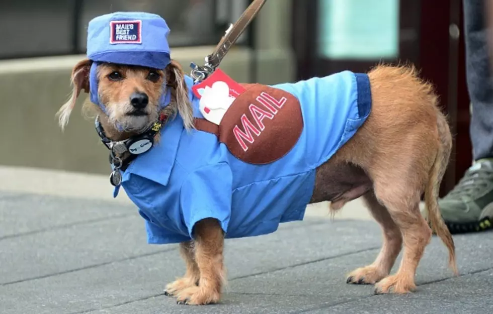 Get Ready For The 18th Annual Pet-O-Ween