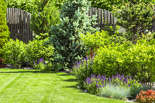 How Much Effort Do You Put Into Your Yard?