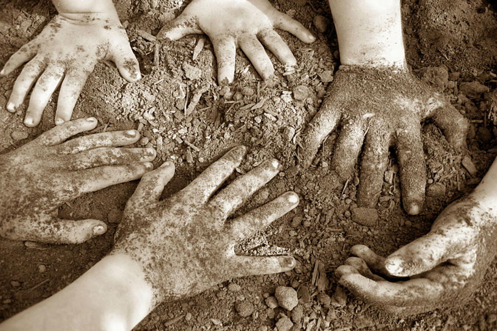 Kids Operate Excavators, Pan For Gold At Dig It Days