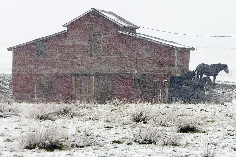 Record Breaking Snowfall, Blizzard Conditions For West MT