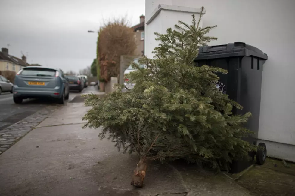 How Long do You Leave Your Christmas Tree up After Christmas Day?