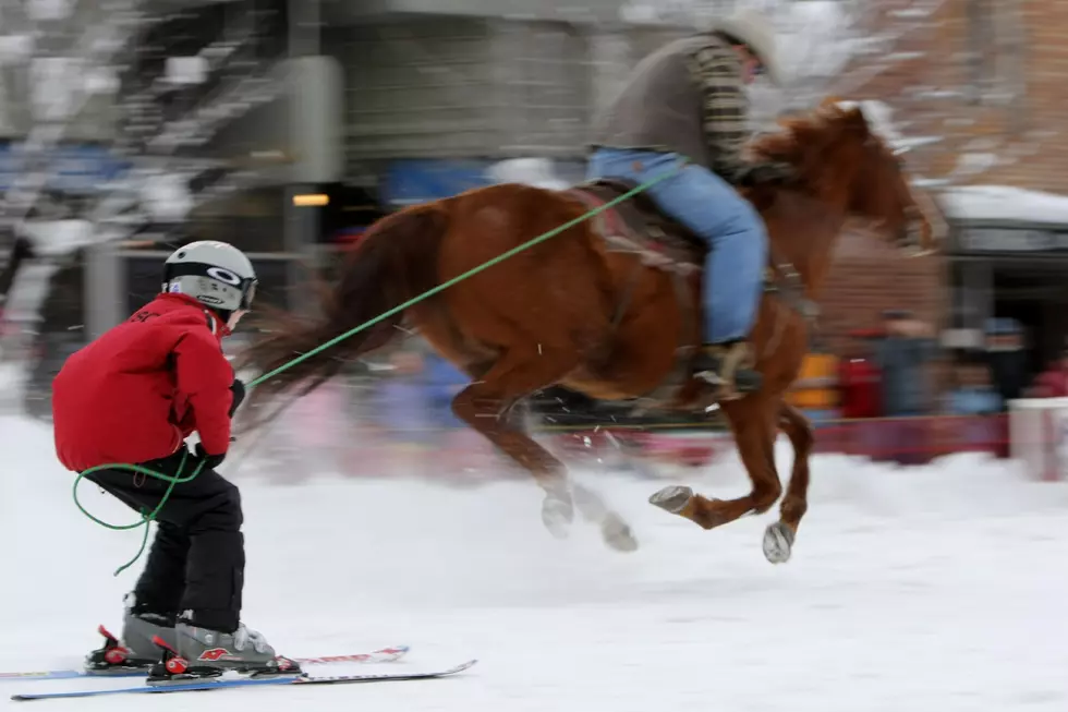 National Finals Ski Joring Races in Red Lodge March 14-15