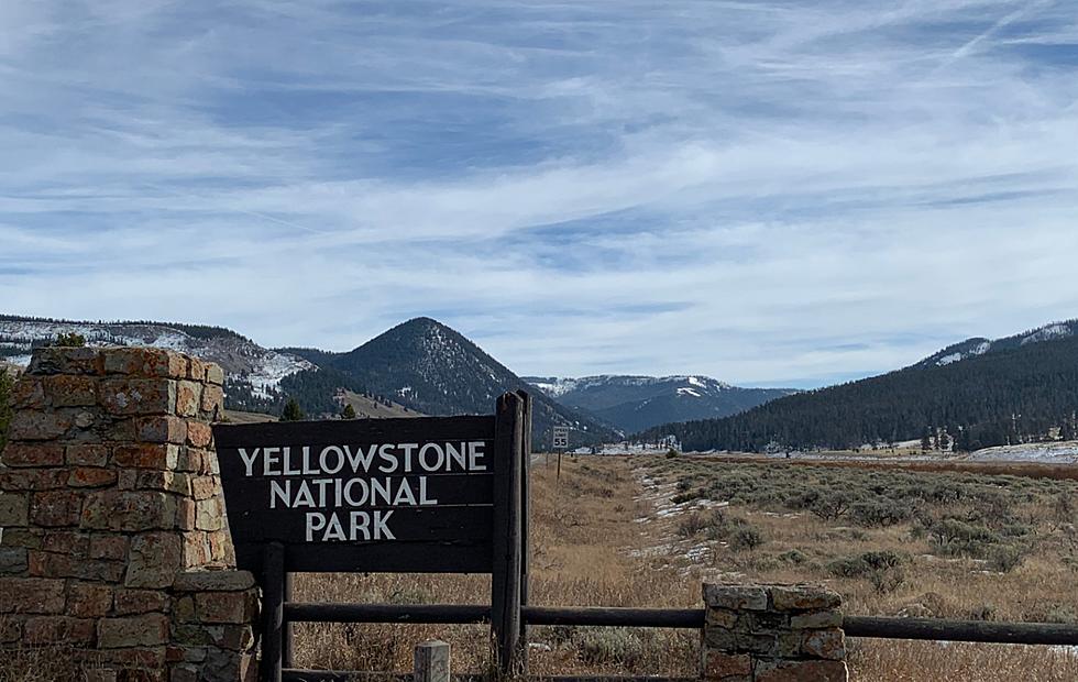 Wyoming Entrances to Yellowstone Open Monday (5/18)