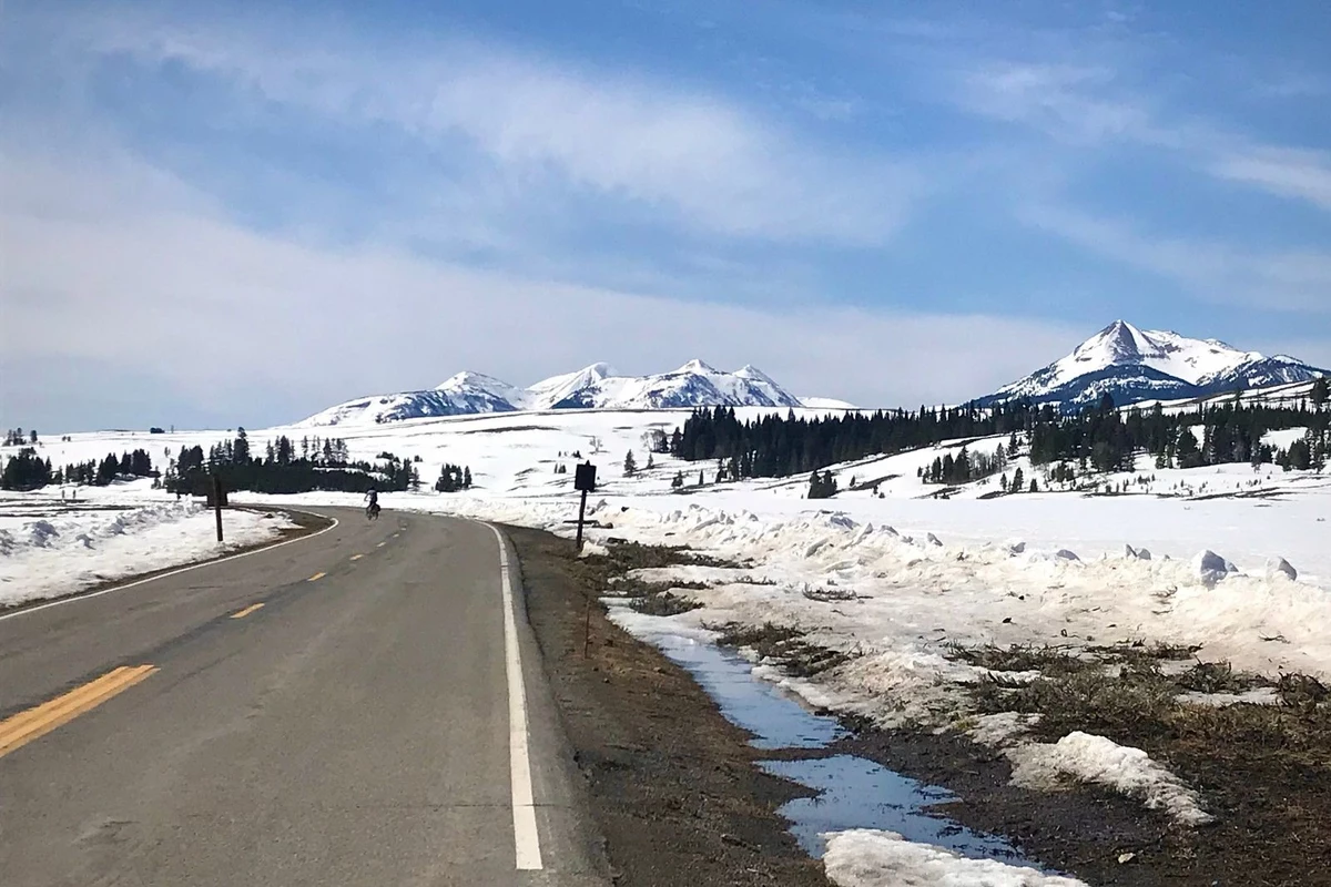 Yellowstone Park Roads Open for Spring Bicycling