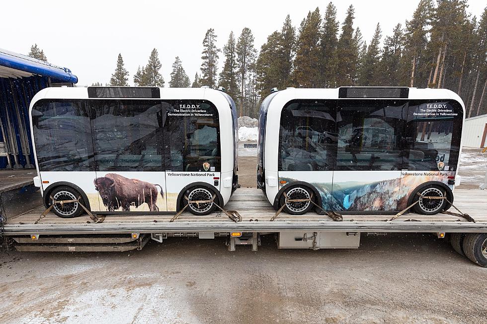 Automated Shuttle Launches Next Month in Yellowstone