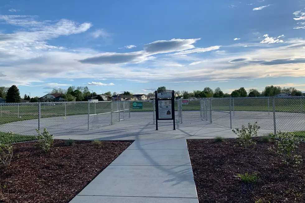 Billings New West End Dog Park Opens Next Month (Photos)