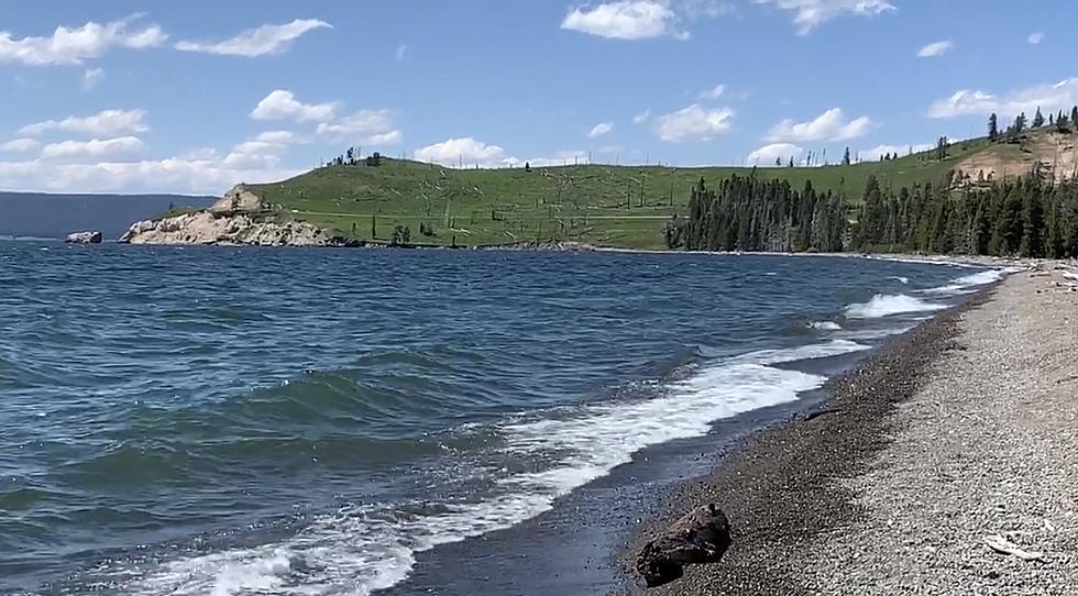 Invasive Species Found on Boat Trying to Enter Yellowstone NP