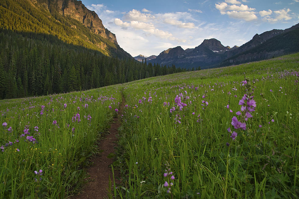 Beautiful Montana Celebrates A Birthday Today. I am Grateful