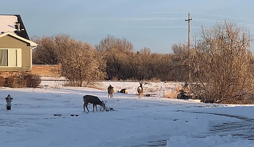 Billings Weather Forecast Has Snow. Here's When It Could Arrive.