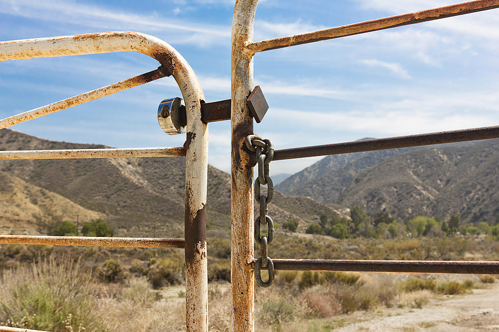 Lock Cut, Gate Torn Down While I Was Gone