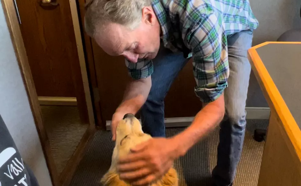 Why Does Paul's Heart Break for This Lovable Dog in Billings?