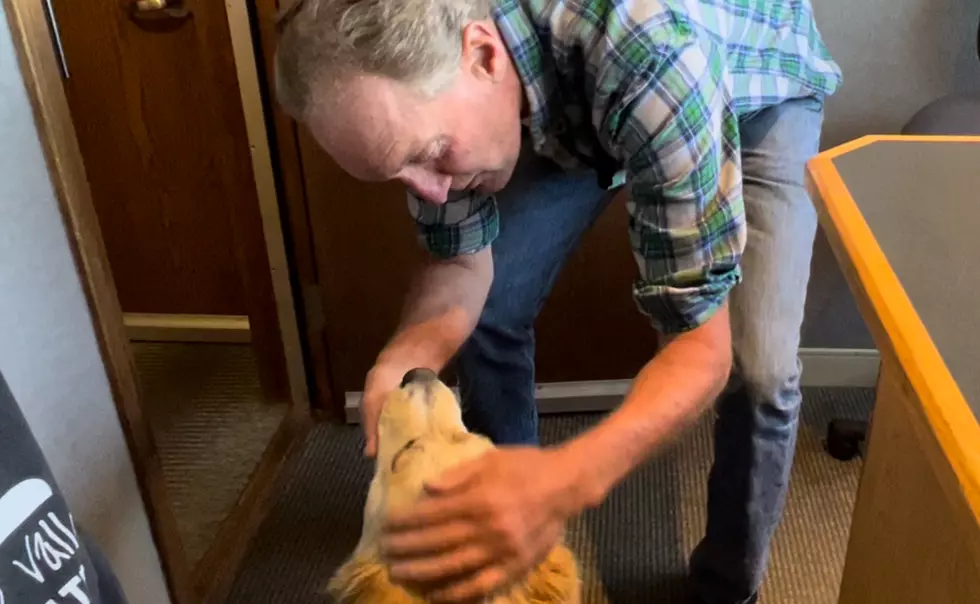 Why Does Paul&#8217;s Heart Break for This Lovable Dog in Billings?