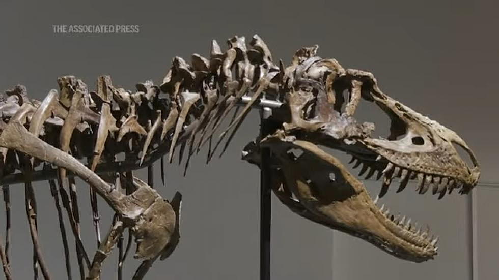 This Montana Dinosaur Skeleton Could Be Yours