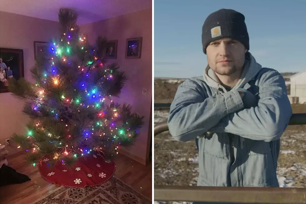 Paul’s Go-To Tree-Saving Recipe & Montana Rancher Moving Up in National Video Game World