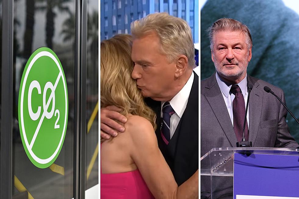 A Look Into Mark’s Wandering Mind: Electric Buses in Billings, Wheel of Fortune News, and Alec Baldwin in MT