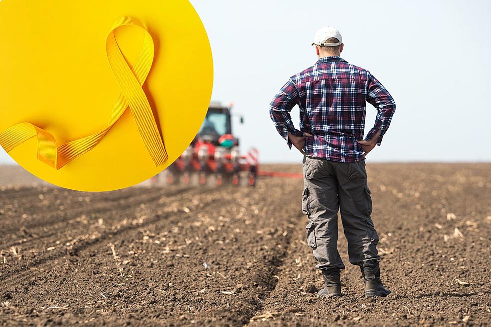 Farmer Finishers on The Sad Reasons Behind High Ag Suicides