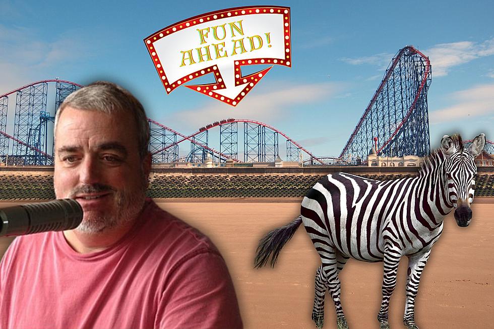 Mark Has A Favorite Theme Park, Can You Guess Where It Is?