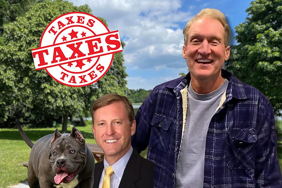 Farmer Finishers: Taxes, Mayor's Donation, And Dogs In Our Parks