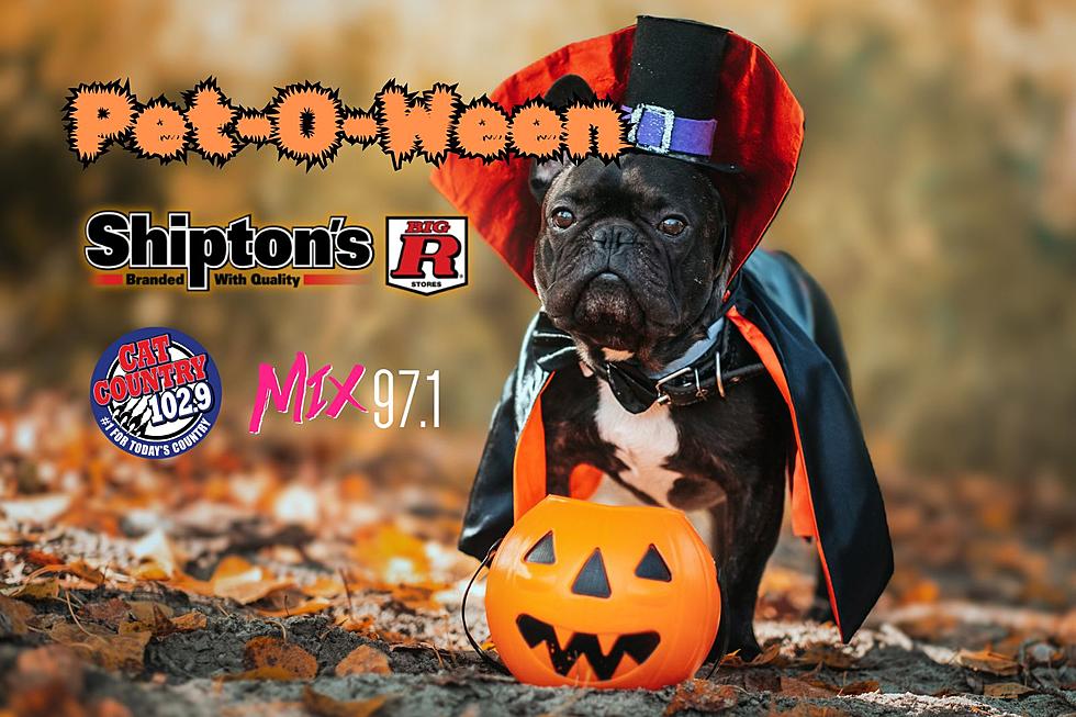 Shipton's Big R 22nd Annual Pet-O-Ween Online Registration