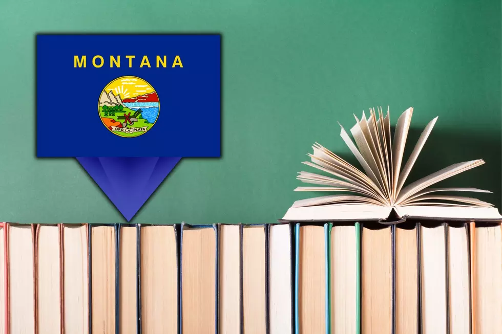 Have You Read The Most Popular Novel In Montana?