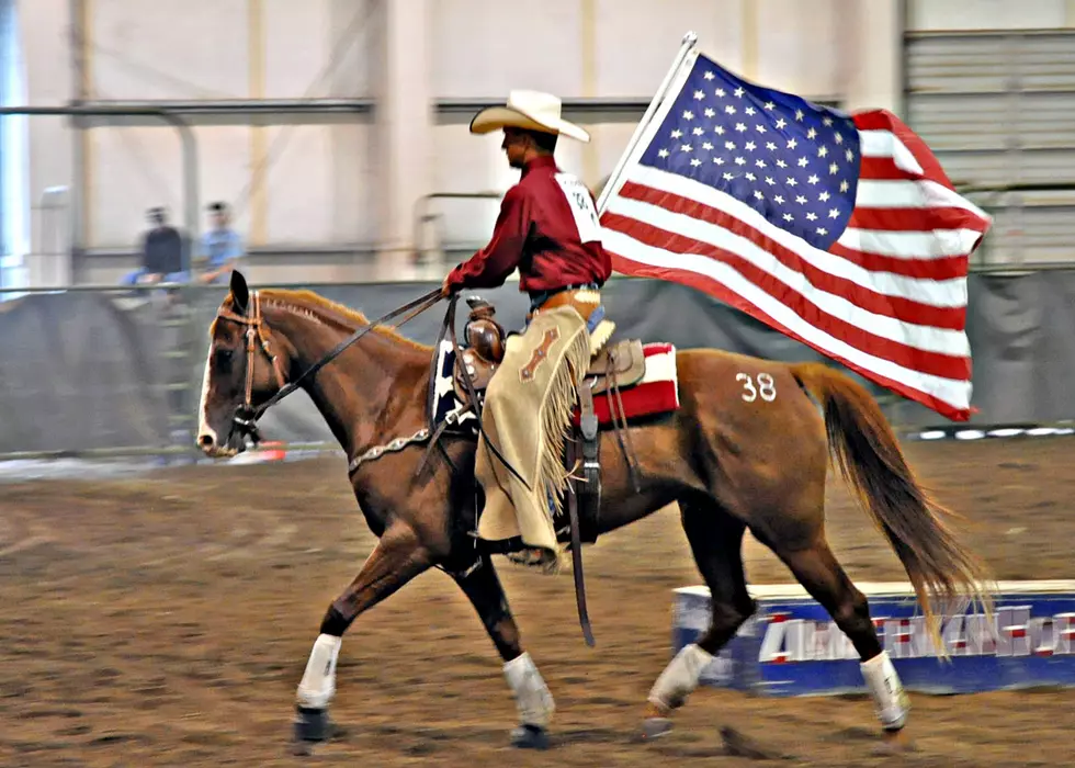 What You Need to Know About Adopting a Wild Horse or Burro