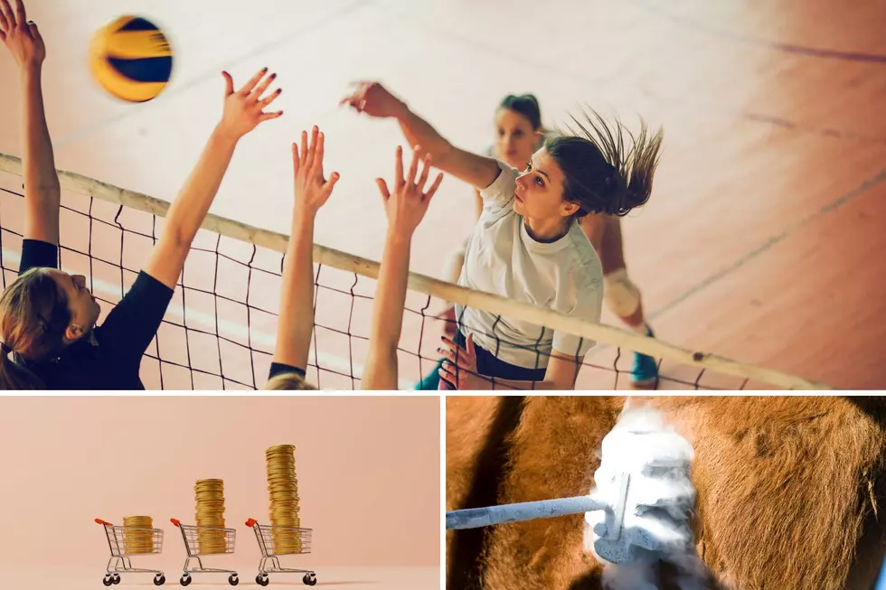Farmer Finishers: Volleyball, Inflation, Branding