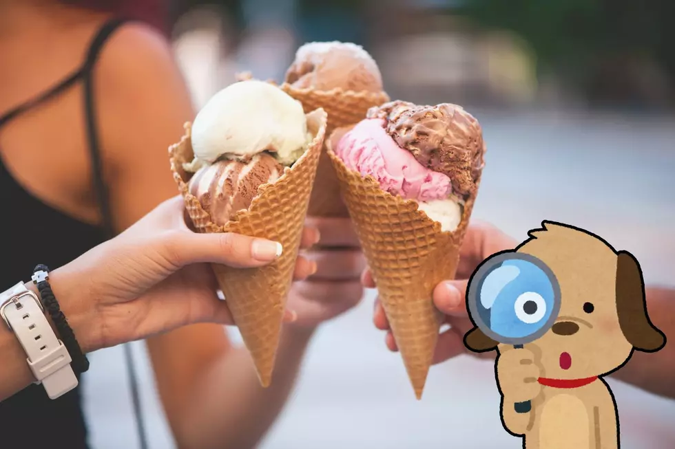 Adulting is Hard: My Quest for the Perfect Ice Cream