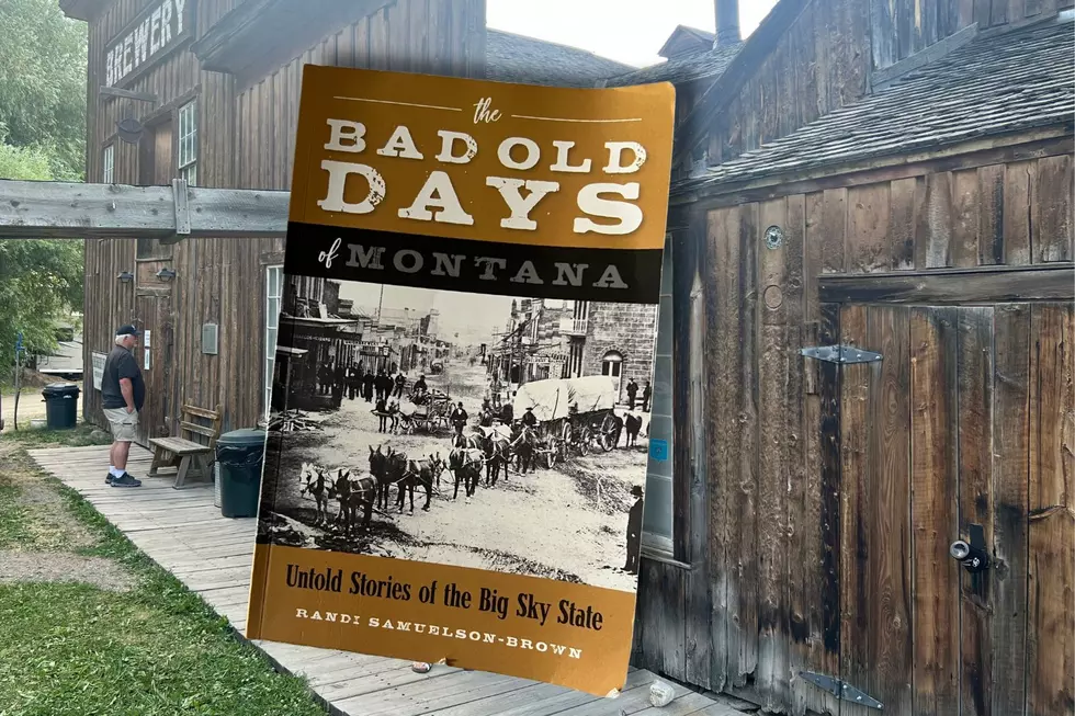 Virginia City and my copy of The Bad Old Days of Montana. Credit Michael Foth, TSM.