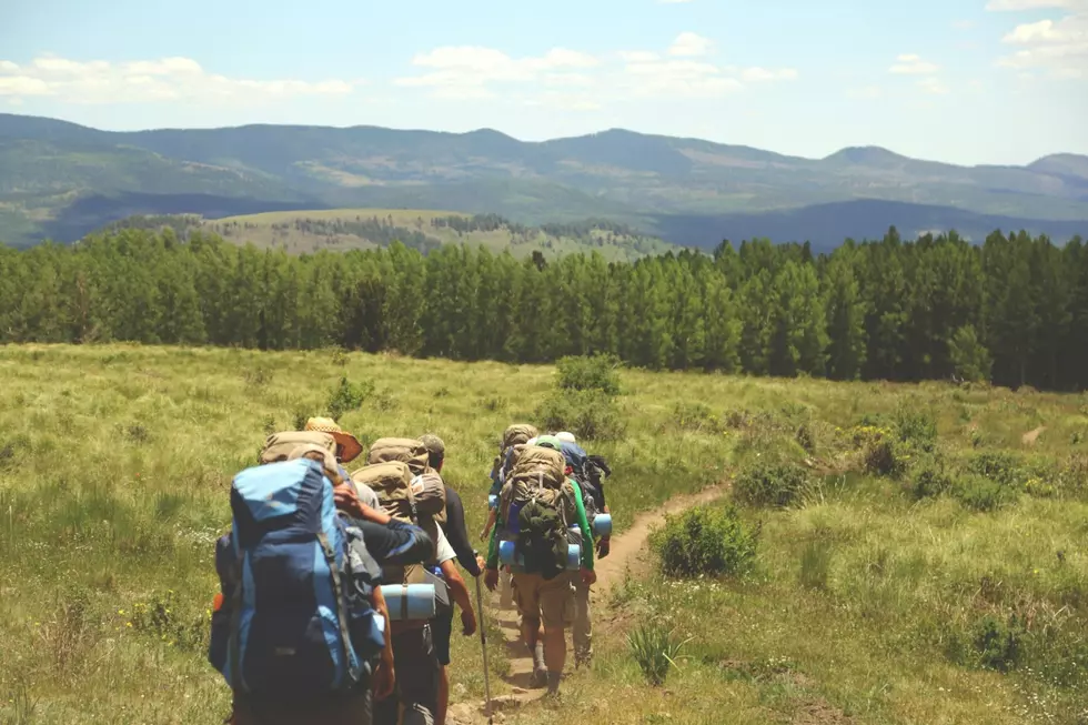 Public lands are a valuable asset in Montana. Photo by Austin Ban on Unsplash