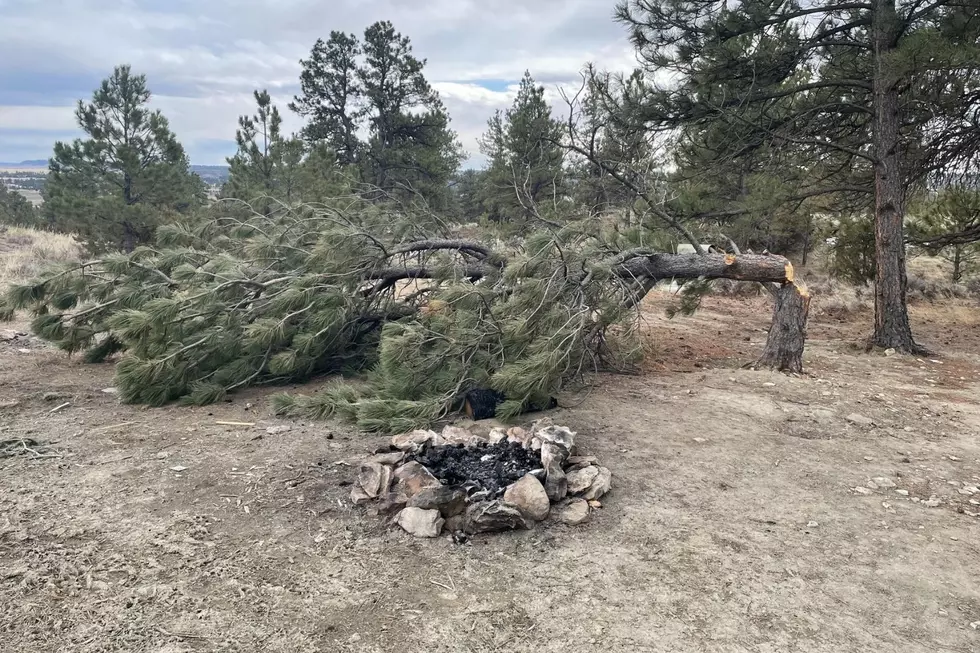 Credit Montana-Dakota BLM, used with permission