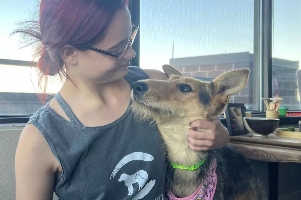 Honey cuddles up to YVAS's Lindsay Dillon. Credit Michael Foth, TSM