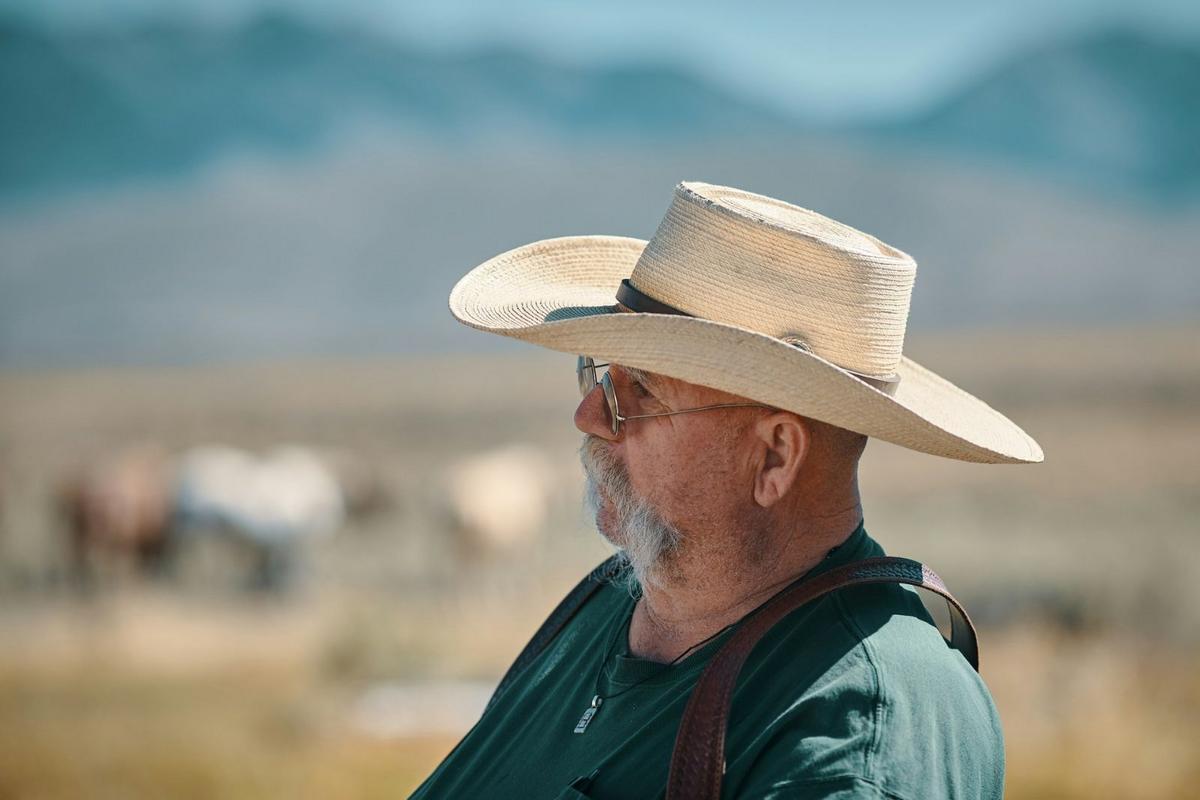 Is Montana Full of Boomers? Data Says YES