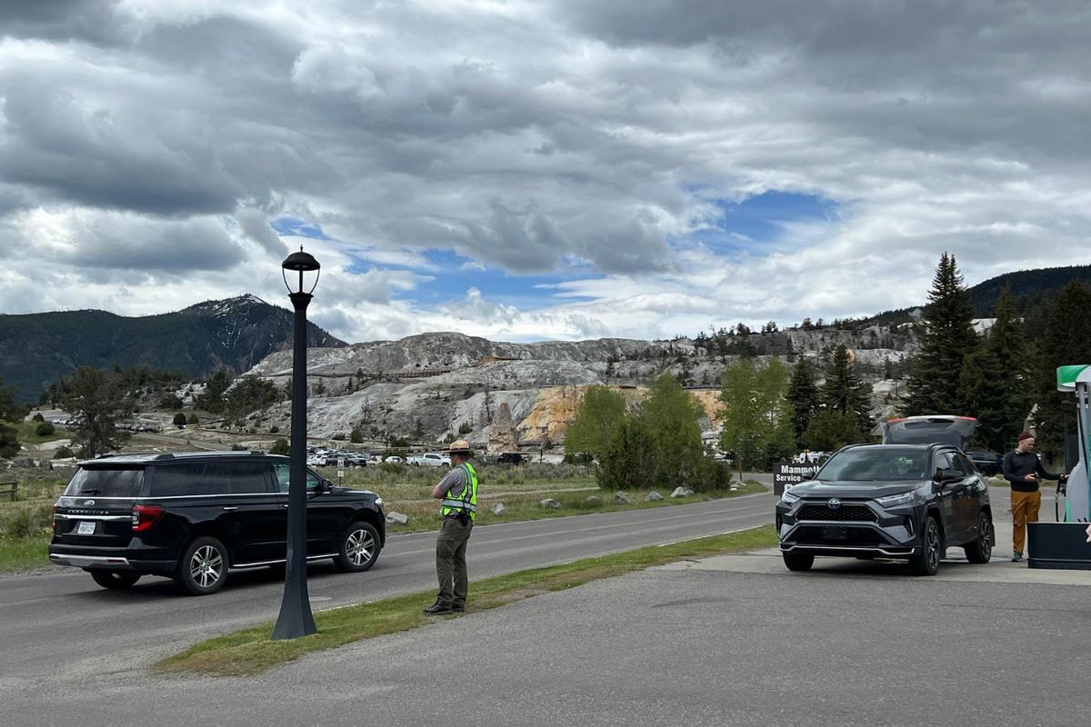Yellowstone's Popularity Soars as Park Sets New May Record