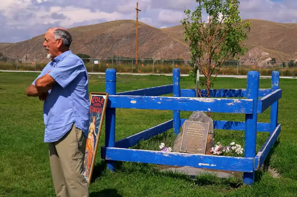 Pitt's gravesite at the fairgrounds in Dillon, MT. Credit Southwestern MT News via YouTube