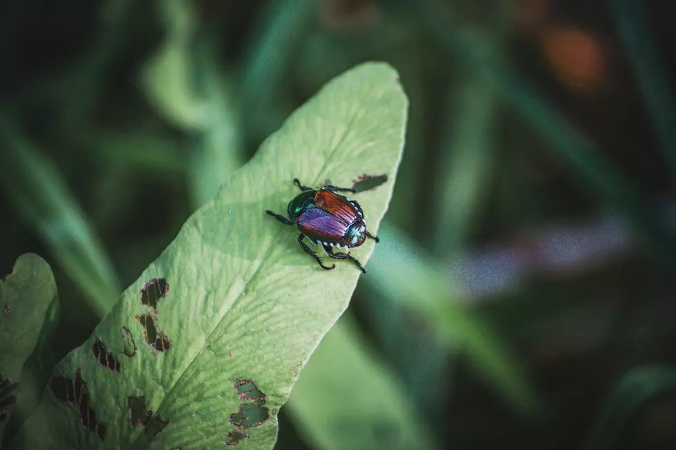 Photo by Richie Bettencourt on Unsplash